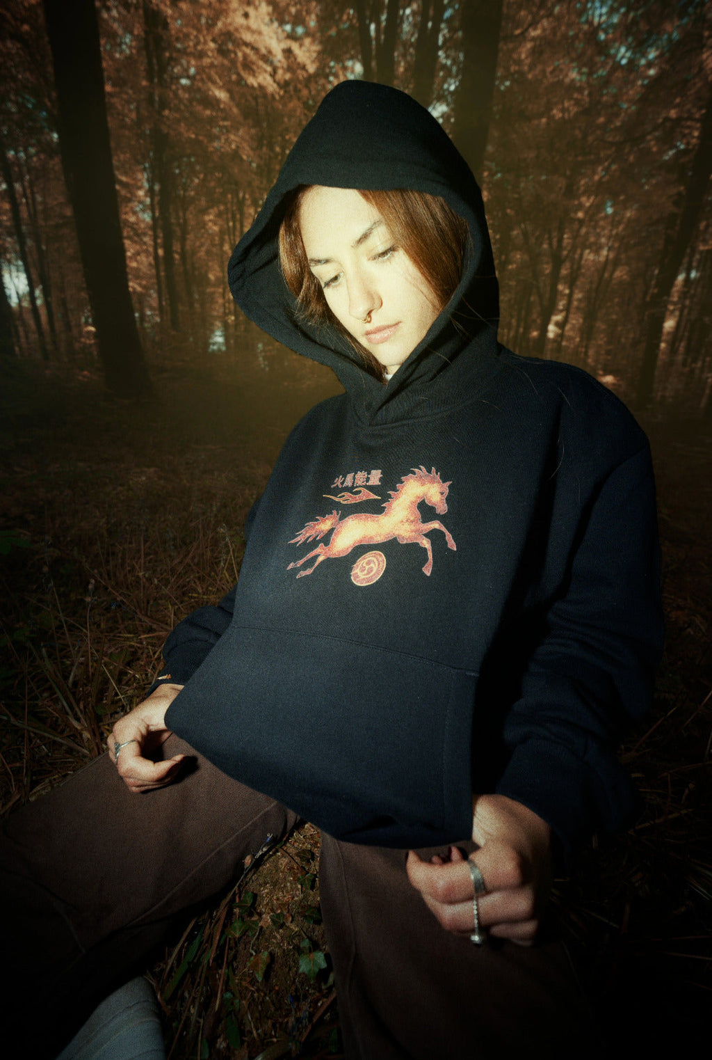 Horse,Hoodie,Streetwear,Clothing